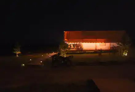 Птички - 31