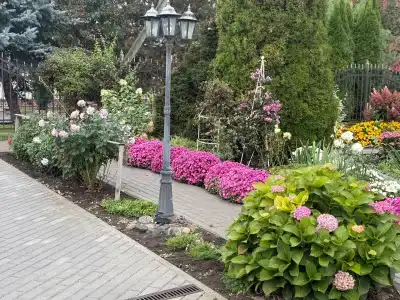 Волшебный Сад - 17