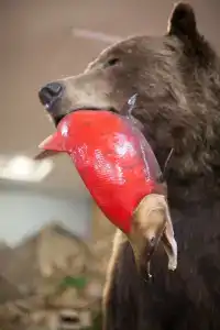 Золотой Ручей - 21