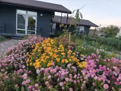 Каравелла - 10