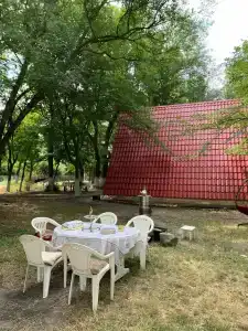Дубовая Роща-Нечаевка - 6