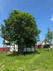 Вазузахаус - 2