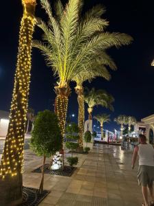 Albatros White Beach - 35