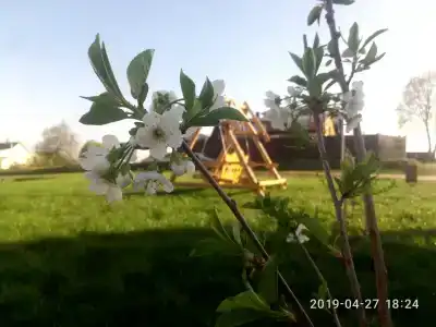 Усадьба на Озёрной - 10