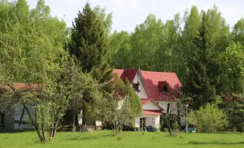 Подсолнухи - 13