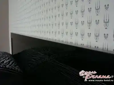 Рената - 48