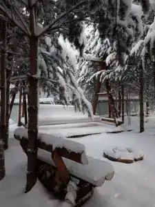 Стриж хаус - 5