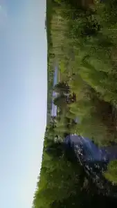 Бодрость - 3