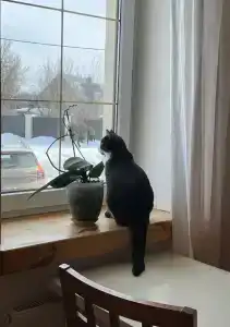 Алексеевская Усадьба - 56