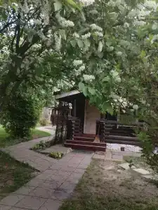 Финская деревня - 83