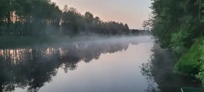 Аист - 41