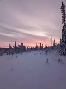 Хаски Кэмп - 24