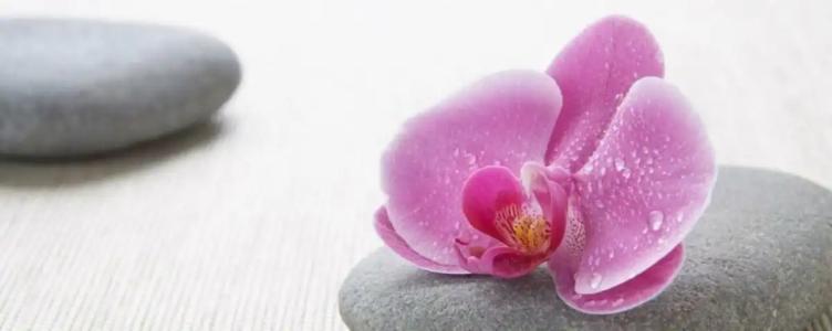 Courtyard by Marriott Mumbai International Airport - 30