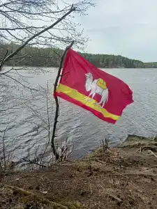 Серебряное копытце - 2