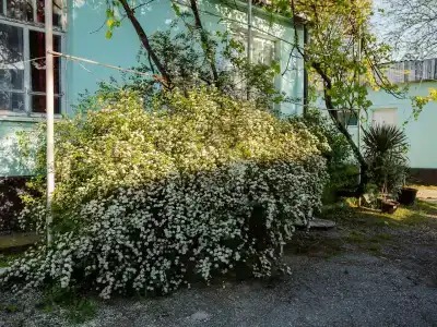 Усадьба Приморье - 8