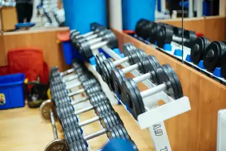 Бристоль - 33