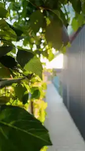 Тихое место - 32