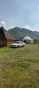 Тюрк - 8