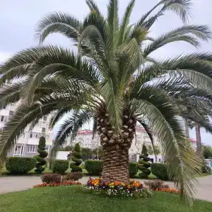 Море - 4