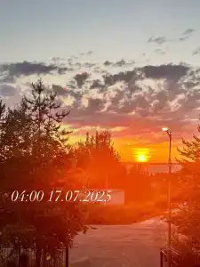 Вернисаж - 4