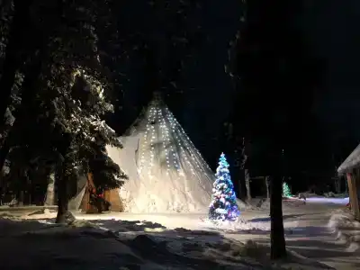 Медвежий угол - 11