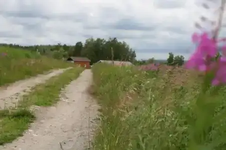 Киселевка - 21