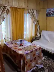 Изба - 10