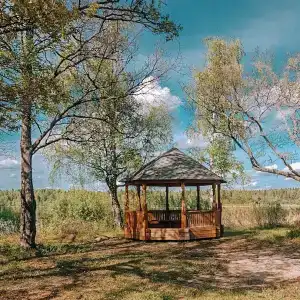 Селигерский плёс - 13