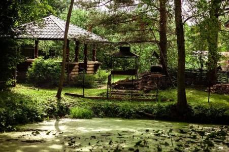 Изба Палыча - 2