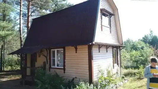 Гнездо аиста - 9