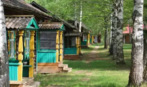 Подсолнухи - 18