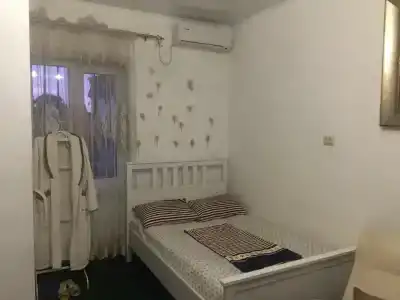 Сакура - 12