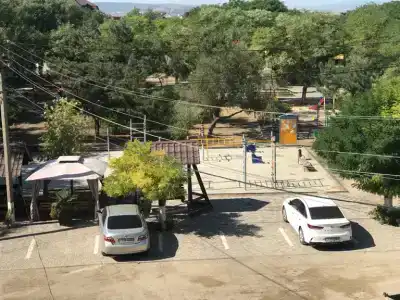 Профитто - 24