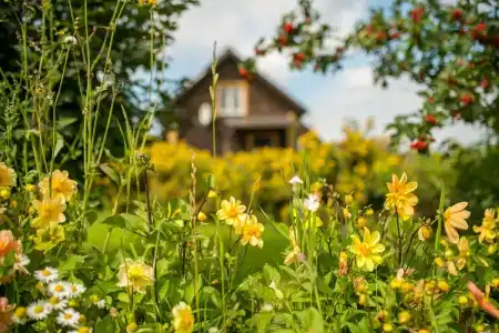 Суздальский Дворик - 23