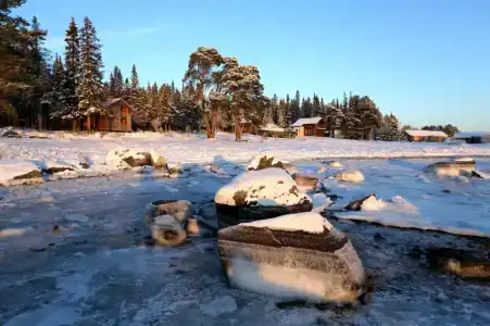Кедр Грасс Белое Море - 8