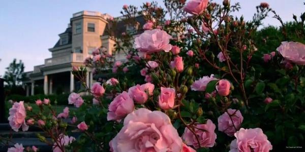 The Chanler at Cliff Walk - 9