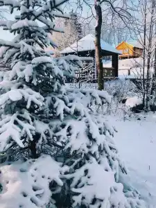 Экопарк Аура - 38