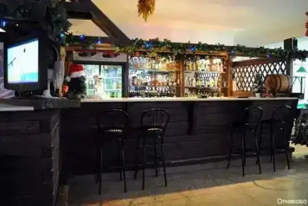 Огниково - 51