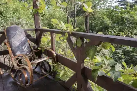 Сосновый Бор - 27