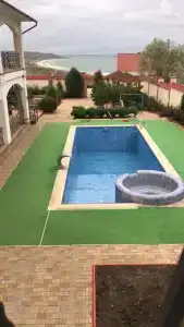 Золотой Фазан - 1