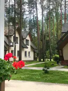 Серебряный родник - 27