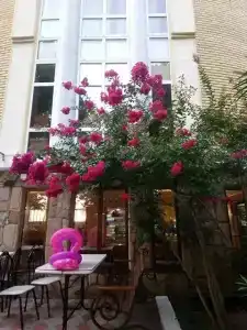 Ростовчанка - 84