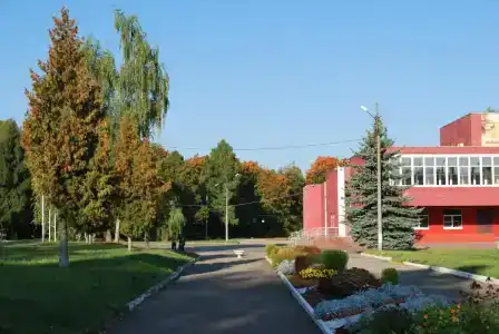 Полушкино - 29