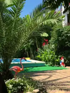 Фламинго - 63