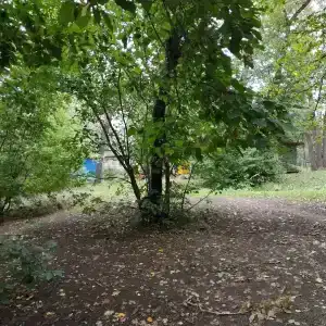 Бодрость - 24