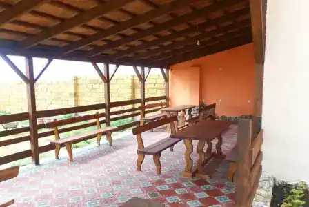 Белый Хорват - 31