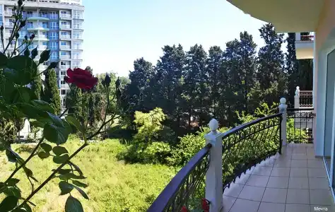 Мечта - 48