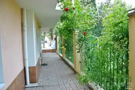 Мечта - 19
