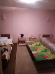 Беловежская пуща. №2 - 25