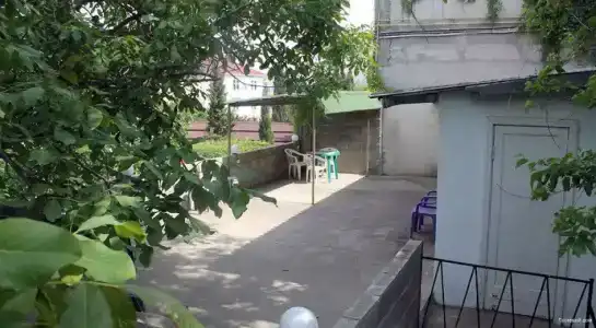 Зеленый двор - 10